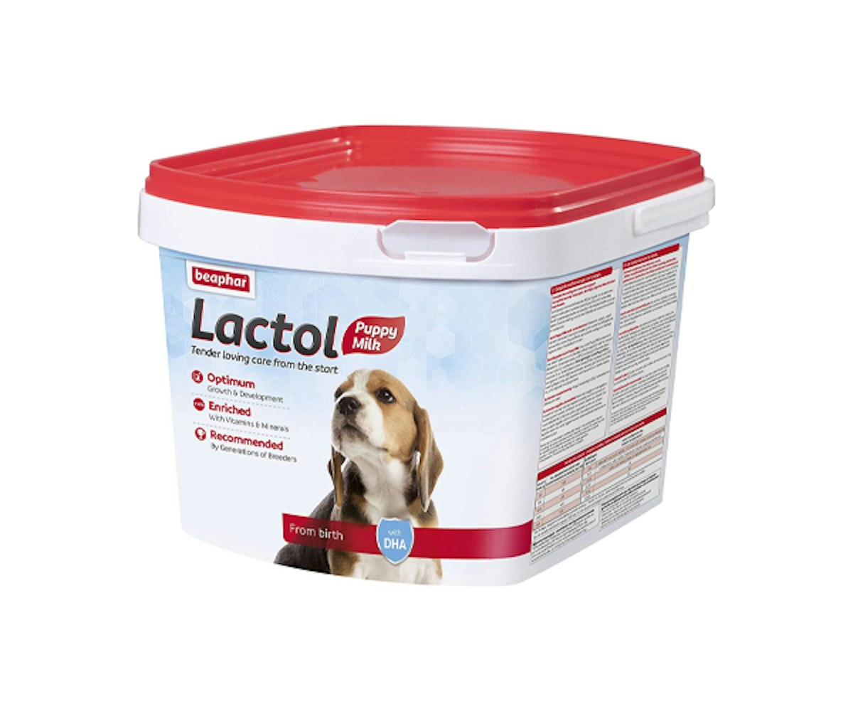 The Best Puppy Milk For Healthy Development